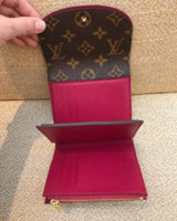 Louis Vuitton World Tour Victorine Wallet reveal/review 