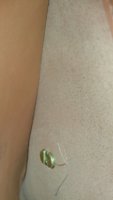 20171114_083825.jpg