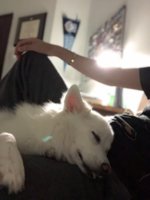 49746480-D719-495B-982F-88C863AC08DF.jpeg