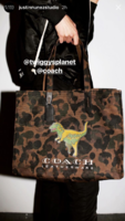 rexy tote.PNG