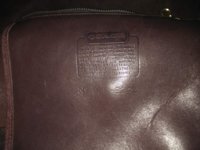 IMG_20171116_134237.jpg