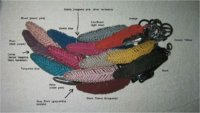 wing_feathers_version4.jpg