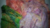 20150507_083854.jpg