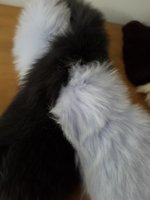 20171204_153240.jpeg