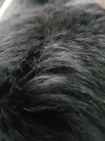 20171204_153145.jpeg