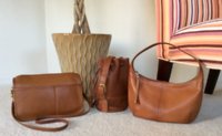 British Tan Companion, Bixby, Ergo.JPG