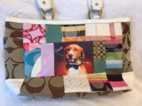 dth6diane fake coach w:dog front.jpg