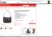7584 Hamptons Leather hobo December 2002.PNG