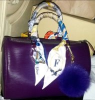 Dior twilly on LV speedy.jpg