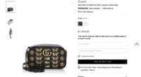 GucciCameraBag.png