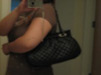 ann taylor bag.JPG