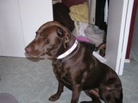 mattie coller 001.jpg