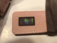 hologram 1.jpg
