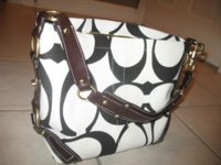 mypurse.jpg