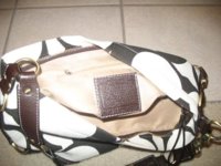 mypurse2.jpg