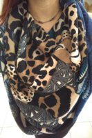 downloadfile-98.jpg