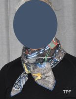 s2.jpg