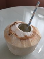 coconut 2.jpg