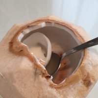 coconut 3.jpg