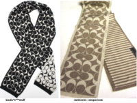 linda*s***stuff scarf comps coach.png
