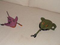 DSCN1417.jpg