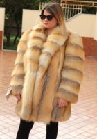 Golden Fox.jpg
