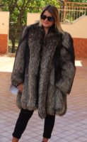 Silver Fox.jpg