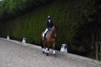 dressage picture copy.jpg