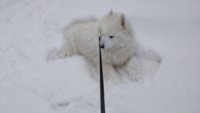 download_20180204_112224.jpg
