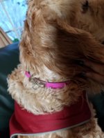 20180209_171244.jpg