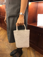 goyard poitier