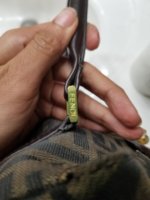 20180219_160529.jpg