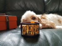 20180221_115757.jpg
