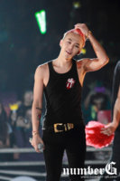 121210_numberg_gd81.jpg