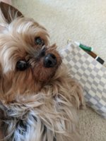 rps20180225_145606.jpg