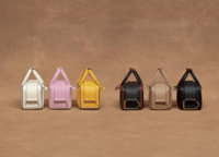 delvaux-ss18-colours-COOLBOX_MINI_TAURILLON_IV_NA_SA_EB_VI_NO-12455.jpg