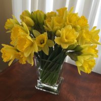 daffodils-1.jpg