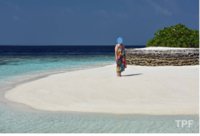 lily beach01.jpg