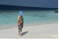 lily beach02.jpg