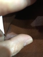 IMG_3454.jpeg