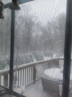 IMG_0594.JPG