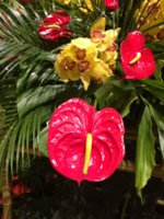 IMG_3981.JPG
