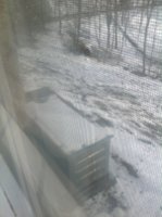 IMG_0596.JPG