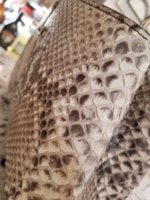 20180304_104851.jpg
