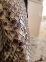 20180304_104911.jpg