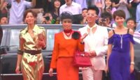RedBirkin.png