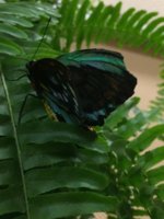 IMG_4024.JPG