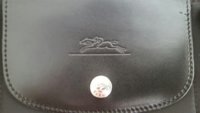 longchamp1.jpg