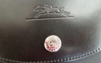longchamp2.jpg