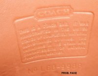 1996_B-plant_PROB.FAKE_L6B-9988-a.jpg